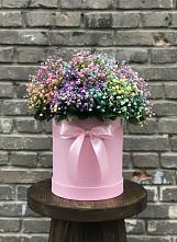 Цветочная композиция из Гипсофила и Розы в шляпной коробке #REPLACE_PRED# Новая Жизни