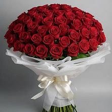 Букет 101 Красная роза Блэк Мэджик в Новая Жизни