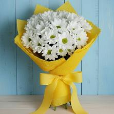 Букет цветов из:  Хризантемы в Новая Жизни
