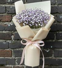 Букет цветов из:  Гипсофила в Новая Жизни