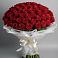 Букет 101 Красная роза Блэк Мэджик в Новая Жизни
