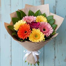 Букет цветов из:  Герберы #REPLACE_PRED# Новая Жизни