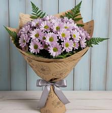 Букет цветов из:  Хризантемы в Новая Жизни