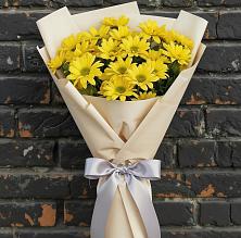 Букет цветов из:  Хризантемы в Новая Жизни