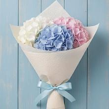 Букет цветов из:  Гортензия в Новая Жизни