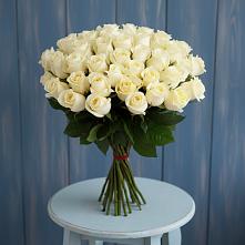 Букет 51 Белая роза Эдлесс Лав #REPLACE_PRED# Новая Жизни