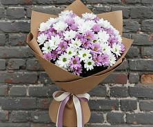 Букет цветов из:  Хризантемы в Новая Жизни