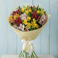 Букет цветов из:  Альстромерии в Новая Жизни