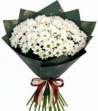 Букет цветов из:  Хризантемы в Новая Жизни