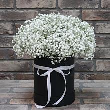 Цветочная композиция из Гипсофила в шляпной коробке в Новая Жизни