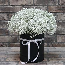 Цветочная композиция из Гипсофила в шляпной коробке в Новая Жизни