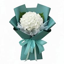 Букет цветов из:  Гортензия в Новая Жизни